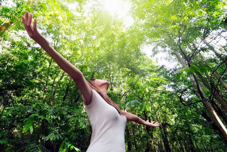 Conoce que son y para que sirven los BAÑOS DE BOSQUE